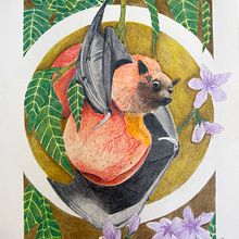 My project for course: Surrealist Illustration Inspired by Nature. Un proyecto de Ilustración tradicional, Dibujo a lápiz, Dibujo, Dibujo artístico, Ilustración naturalista				 y Dibujo con lápices de colores de Liliana Silva - 20.08.2024
