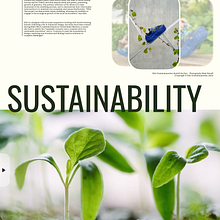 Rewild the Run (projeto final do curso: Design de páginas web interativas com Figma) . Design, UX / UI, Design web, Design mobil, Design digital, Design tipografic, Design de aplicații și Proiectarea produselor digitale de Flávio Bach - 08.21.2024