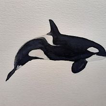 My project for course: Naturalist Illustration Techniques: Whales in Watercolor. Fine Arts, Painting, Watercolor Painting, and Naturalistic Illustration project by liya_volpi - 08.21.2024