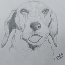 Mi proyecto del curso: Dibujo naturalista de animales con grafito. Un progetto di Illustrazione tradizionale, Disegno a matita, Disegno e Illustrazione naturalistica di Noemi Vazquez - 22.08.2024