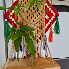 Bring green nature into home. Design de interiores projeto de Juliana Megat - 21.08.2024