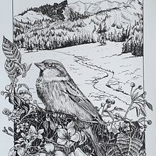 My project for course: Dip Pen and Ink Illustration: Capturing The Natural World. Un progetto di Bozzetti, Disegno, Disegno artistico, Sketchbook, Illustrazione con inchiostro e Illustrazione naturalistica di petrinadeanne - 24.08.2024