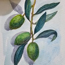 My project for course: Botanical Watercolor Illustration: Cross-hatching Technique. Fine Arts, Painting, Watercolor Painting, and Botanical Illustration project by fatmaayhan001 - 08.24.2024