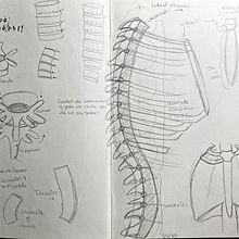 Mi proyecto del curso: Dibujo anatómico de extremidades, manos y pies. Fine Arts, Sketching, Pencil Drawing, Drawing, Portrait Drawing, Realistic Drawing, Artistic Drawing, Sketchbook, Figure Drawing & Ink Illustration project by Sereth GM - 08.26.2024