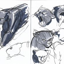 Sketches del zoológico. Traditional illustration, Animation, Character Design, Sketching, and Drawing project by Diego & Sebastian Ramírez Jacinto - 08.28.2024