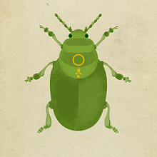 My project for course: Wildlife Illustration for Children's Books. Un progetto di Illustrazione vettoriale, Illustrazione digitale e Illustrazione infantile di adri rodriguez - 24.08.2024