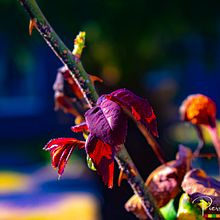 Test Photography . % Francis Ilunga tarafından hazırlanan Fotoğrafçılık projesi - 08.28.2024