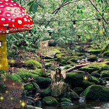 Mi proyecto del curso: Collage digital en Photoshop: composición y efectos visuales Ein Projekt aus dem Bereich Fotografie, Collage, Fotoretuschierung, Artistische Fotografie, Fotografische Komposition und Fotomontage von Luisiana Cortez Neira - 28.08.2024