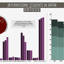 My project for course: Data Visualization and Information Design: Create a Visual Model. Information Design, Interactive Design & Infographics project by Ana Correia - 08.29.2024