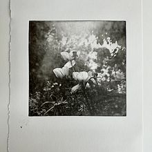 My project for Photoengraving course. Arts, and Crafts project by Ilkka Kärkkäinen - 08.28.2024