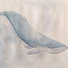 Mi proyecto del curso: Técnicas de ilustración naturalista: ballenas en acuarela. Fine Arts, Painting, Watercolor Painting, and Naturalistic Illustration project by Ana María Guiulfo - 08.31.2024