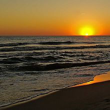 Mi proyecto del curso: Diseño gráfico para principiantes. Un proyecto de Diseño, Diseño gráfico y Diseño de logotipos de yulietsaraymelendez - 31.08.2024