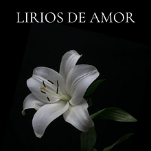 Mi proyecto del curso: Escritura de una novela paso a paso. Writing, Creativit, Stor, telling, Narrative, Fiction Writing, and Creative Writing project by Ren - 09.01.2024