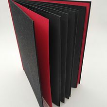 Libretinas. Een project van  Ontwerp, Craft, Papercraft y  Boekbinding van Alberto López Peña - 02.09.2024