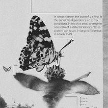 Butterfly Effect . Graphic Design project by Athanasios Papatatsis - 09.01.2024