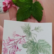 Acuarela/ flores. Een project van Traditionele illustratie van Andrea Zamorano R. - 03.09.2024
