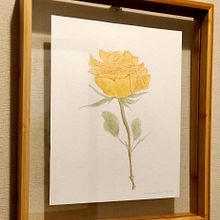 Mi proyecto del curso: Ilustración botánica en acuarela: Técnica del sombreado a rayas. Projekt z dziedziny R, sunek botaniczn,  Sztuki piękne,  Malarstwo i Malowanie akwarelą użytkownika Andrea Zamorano R. - 03.09.2024