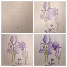 Iris lila/ acuarela . Een project van Traditionele illustratie van Andrea Zamorano R. - 03.09.2024