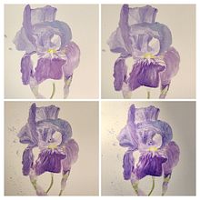 Lirio lila / acuarela. Een project van Traditionele illustratie van Andrea Zamorano R. - 03.09.2024