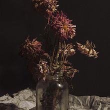 My project for course: Botanical Still Life Photography. Fine-Art Photograph, Lifest, le Photograph, and Product Photograph project by Kirstie Fox - 09.04.2024