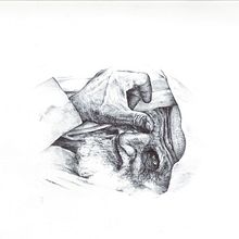 Il mio progetto del corso: Ritratto realistico con penna. Projekt z dziedziny  R, sunek,  R, sunek art, st, czn, Portret, R, sunek realist, czn, Trad, c i jna ilustracja użytkownika giusi_calli - 05.09.2024