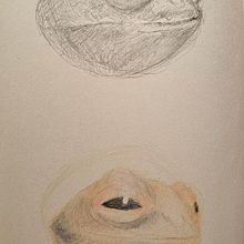My project for course: Surrealist Illustration Inspired by Nature. Drawing, Pencil Drawing, Artistic Drawing, Traditional illustration, Naturalistic Illustration, and Colored Pencil Drawing project by rie_1y1 - 09.04.2024