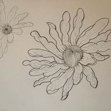 My project for course: Sketchbook Illustration with Pen: Embracing Mistakes. Drawing, Ink Illustration, Sketchbook, and Sketching project by rie_1y1 - 09.05.2024