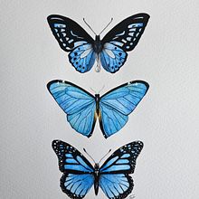 Mi proyecto del curso: Ilustración realista en acuarela de la vida salvaje. Watercolor Painting project by jesepradilla1 - 09.05.2024