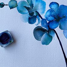 Ilustraciones varias en acuarela. Naturalistic Illustration, and Botanical Illustration project by Maria Eugenia Dudok Gonnet - 09.06.2024