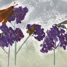 My project for course: Illustrating Nature: A Creative Exploration Ein Projekt aus dem Bereich Zeichnung, Traditionelle Illustration, Illustration mit Tinte, Malerei, Aquarellmalerei und Naturalistische Illustration von Jesse - 06.09.2024