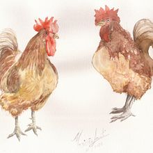Aves. Traditional illustration project by Marinês Santos - 11.17.2023
