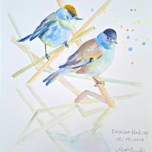 My project for course: Artistic Watercolor Techniques for Illustrating Birds. Traditional illustration, Watercolor Painting, Realistic Drawing, and Naturalistic Illustration project by surmesgenoux - 09.08.2024