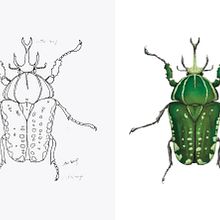 Ilustración final. Un progetto di Illustrazione tradizionale, Illustrazione digitale, Pattern design e Illustrazione naturalistica di nico3244 - 11.09.2024