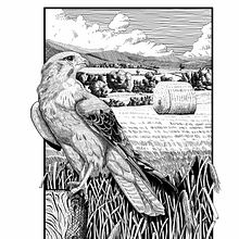 Mi proyecto del curso: Ilustración con tinta y plumilla: captura el mundo natural. Artistic Drawing, Drawing, Ink Illustration, Naturalistic Illustration, Sketchbook, and Sketching project by esteve_fontarnau - 09.12.2024