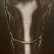 Portrait of a horse "Luck" dry pastel, pastel pencils, pastel paper. Un proyecto de Dirección de arte, Bellas Artes, Diseño de interiores, Pintura, Dibujo a lápiz, Dibujo realista, Dibujo artístico y Dibujo con lápices de colores de Margarita  Zipman - 13.09.2024