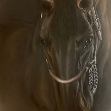  Portrait of a horse "Tenderness" dry pastel, pastel pencils, pastel paper. Un proyecto de Dirección de arte, Artesanía, Bellas Artes, Diseño de interiores, Pintura, Dibujo a lápiz, Dibujo y Dibujo con lápices de colores de Margarita  Zipman - 13.09.2024