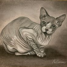 Portrait of a cat "Nikita" dry pastel, pastel pencils, pastel paper. Un proyecto de Dirección de arte, Bellas Artes, Pintura, Dibujo a lápiz, Dibujo, Dibujo realista, Dibujo artístico y Dibujo con lápices de colores de Margarita  Zipman - 13.09.2024