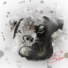 Procreate Digital Art. Fine Arts project by Bill De Loach - 09.13.2024