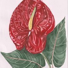 Botanical Watercolor: Illustrate the Anatomy of Flowers. Watercolor Painting, Painting, Botanical Illustration, Textile Printing, Floral, and Plant Design project by Iryna Kravchuk - 09.13.2024
