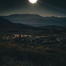 Parque nacional Los Cardones. Photograph project by Nicolas Chauque - 05.25.2023