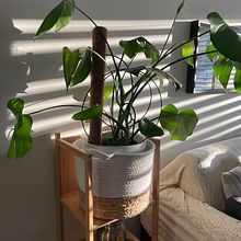 My project for course: Interior Decoration: Tricks to Renovate Your Home. Decoration, Interior Decoration, Interior Design, and Spatial Design project by jvivianabl - 09.15.2024