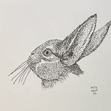 My project for course: Drawing from Observation for Beginners. Drawing, Ink Illustration, Sketchbook, Pencil Drawing, and Sketching project by harleydavidson - 09.13.2024