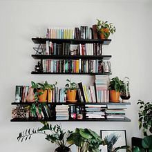Il mio progetto del corso: Stile e decorazione della tua casa con piante. Un projet de Décoration, DIY, Art floral et végétal, Design d'interaction, Décoration d'intérieur , et Design d'espace de Laura Zago - 16.09.2024