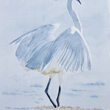 Mein Abschlussprojekt für den Kurs: Naturalistische Aquarelle mit Ausdruck und Charakter. Traditional illustration, Naturalistic Illustration, and Watercolor Painting project by 3400hans - 09.16.2024