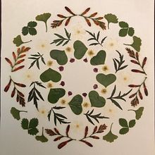 My project for course: Colorful Herbarium from A to Z. Un progetto di Artigianato, Collage, DIY, Belle arti e Design floreale e vegetale di rebecca.graham.c - 17.09.2024