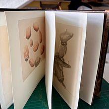 Mein Abschlussprojekt für den Kurs: Binde dein grafisches Werk ohne zu falzen ein. Fine Arts, Arts, Crafts, Bookbinding, and DIY project by Susanne Taudte - 09.18.2024