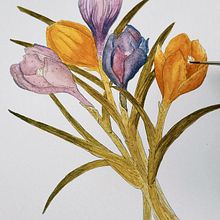 My project for course: Illustrating Nature with Watercolor and Pen. Botanical Illustration, Drawing, Fine Arts, Traditional illustration, Painting, and Watercolor Painting project by dilatoryy - 08.30.2024