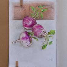 My drawings. Arts, Crafts, Painting, Graphic Design, Fine Arts, Paper Craft, Drawing, Comic, Jewelr, Design, Children's Illustration, Sketching, Printing, Acr, lic Painting, Stationer, Design, and Colored Pencil Drawing project by Ayelet Sapir - 09.14.2024