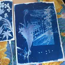 My project for course: Cyanotype: Printing with Light. Un proyecto de Artesanía, Bellas Artes, Estampación, DIY y Fotografía analógica de Yeliz Okay - 20.09.2024