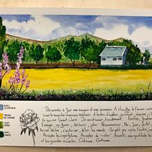 My project for course: Watercolor Travel Journal. Un projet de Illustration traditionnelle, Illustration architecturale, Aquarelle , et Carnet de croquis de peony_b_handler - 18.09.2024